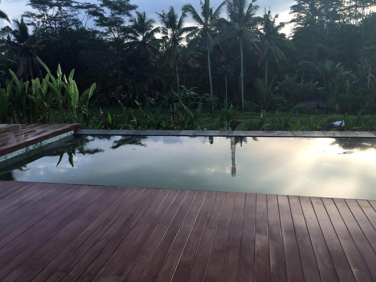 Villa Tegal Tis Ubud Payangan Luaran gambar